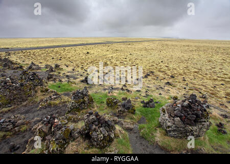 Mousse d'Islande couvre la roche volcanique Banque D'Images