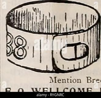 L'easternpoultryma poultryman électionné410Année : 1903 154 L'EST POULTRYMAN. prix du marché régulier de coqs engraissés sur d'autres aliments. L'un des plus prospères de l'poultrymen je sais se développe à propos de ti e acres de ce grain chaque saison ; deux acres de laquelle il n'est pas la récolte mais permet à ses oiseaux pour courir à dès que le berry être- vient assez dur pour l'alimentation et ces deux acres de terre constitue leur course jusqu'à la neige fiies. Cette méthode d'alimentation semble avoir l'autre efltect que celui désiré, mais avec lui c'est pas le cas. Les troupeaux) rendez-vous dans ses quartiers d'hiver dans le plus grand état pos Banque D'Images