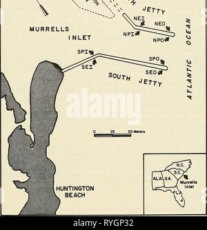 Effets écologiques des décombres à la construction de la jetée de weir Murrells Inlet, en Caroline du Sud, ecologicaleffect00vand Année : 1984 GARDEN CITY BEACH MURRELLS Figure 1. Carte montrant Murrells Inlet jetées et endroits de la station. Banque D'Images