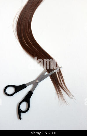 Coupe de cheveux brun Auburn ciseaux Banque D'Images