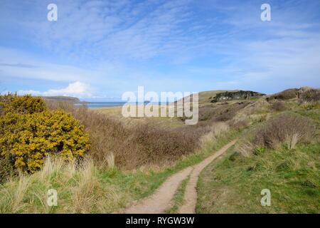 Sentier à travers les dunes de sable derrière Daymer Bay, entre Rock et Trebetherick, près de Polzeath, Cornwall, UK, Mars 2018 Banque D'Images