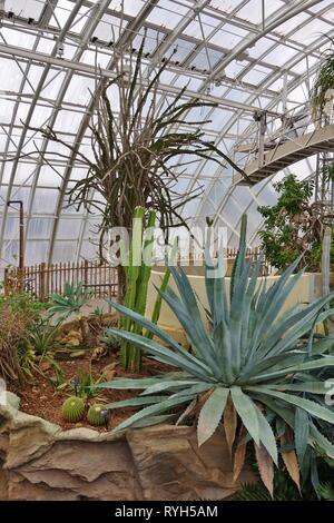 OKLAHOMA CITY, OK - 2 mar 2019- Vue de la Myriad Botanical Gardens, un parc urbain interactif dans une serre de verre tubulaire situé au centre-ville d'Oklah Banque D'Images