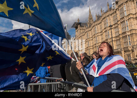 Londres, Royaume-Uni. 14Th Mar, 2019. Un partisan pro-Europe une Europe vagues drapeau dans Westminster. Les députés sont en raison de voter sur l'opportunité de retarder la date de départ pour Brexit plus tard aujourd'hui. Crédit : Stephen Chung/Alamy Live News Banque D'Images