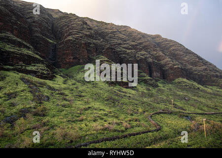 Hawaii Oahu Waianae Kai Forest Reserve Banque D'Images