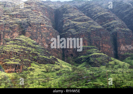 Hawaii Oahu Waianae Kai Forest Reserve Banque D'Images