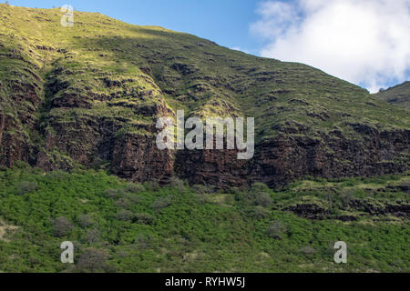 Hawaii Oahu Waianae Kai Forest Reserve Banque D'Images