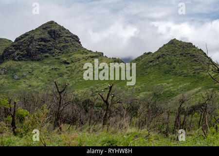 Hawaii Oahu Waianae Kai Forest Reserve Banque D'Images