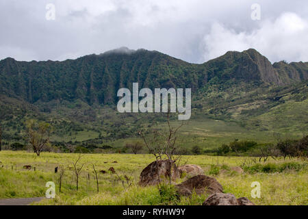 Hawaii Oahu Waianae Kai Forest Reserve Banque D'Images