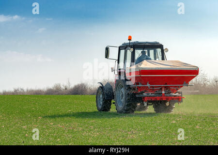 Méconnaissable agriculteur de tracteur agricole, fertilisation des cultures de blé est champ avec des éléments nutritifs de l'engrais NPK Banque D'Images