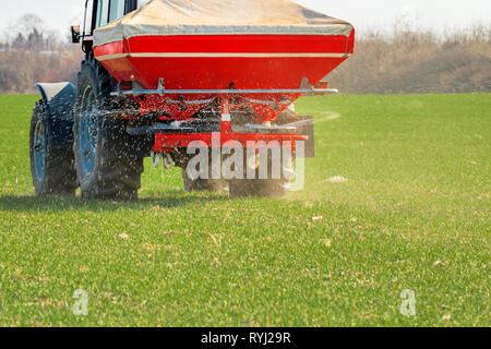 Méconnaissable agriculteur de tracteur agricole, fertilisation des cultures de blé est champ avec des éléments nutritifs de l'engrais NPK Banque D'Images