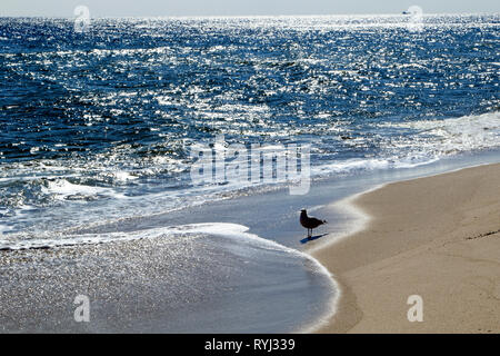 En reflux Surf Lavalette, New Jersey, USA Banque D'Images