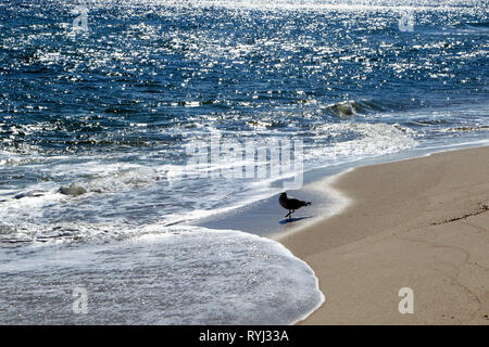 En reflux Surf Lavalette, New Jersey, USA Banque D'Images