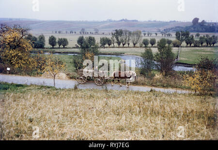 Transport / Transport, véhicule tiré par des chevaux dans la RDA près de Clempenow Additional-Rights, circa 1959,-Clearance-Info-Not-Available Banque D'Images