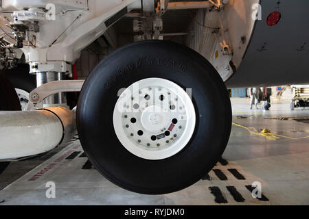 L'Assemblée générale de la roue arrière d'un C-5M Super Galaxy avion est entretenu à l'intérieur d'un hangar, le 13 mars 2019 à Travis Air Force Base, en Californie. Le C-5M Super Galaxy's d'atterrissage principal haute flottaison fournit 28 roues pour distribuer le poids brut sur les surfaces pavées ou en terre. L'arrière du train d'atterrissage principal peut être faite à la roulette sur un angle pour faire un plus petit rayon de braquage, et pivote de 90 degrés après le décollage avant d'être rentrés. (U.S. Air Force photo de Heide Table) Banque D'Images