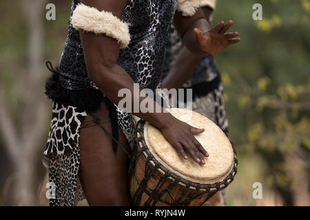 Djembe africain traditionnel. Le Parc National de Kruger. L'Afrique du Sud. Banque D'Images