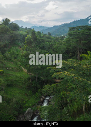 Rivière dans les environs de jardin, Colombie Banque D'Images