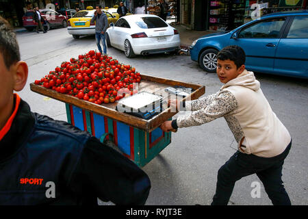 Les garçons palestiniens tomates vente centre-ville de Naplouse, en Cisjordanie, en Palestine. Banque D'Images