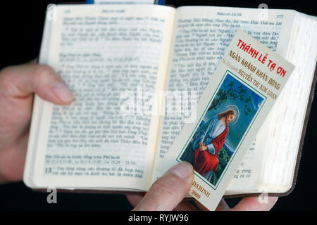 La lecture d'une femme catholique Bible vietnamiens. Ho Chi Minh Ville. Le Vietnam. Banque D'Images