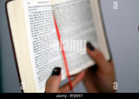 La lecture d'une femme catholique Bible vietnamiens. Le Vietnam. Banque D'Images