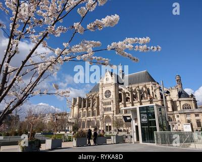 Fleur de cerisier en face de l'église Saint-Eustache, Saint-Eustache, Église Eglise Saint-Eustache, les halles, Paris, France Banque D'Images