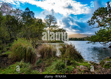 Rydal Water, Lake District, Cumbria. Banque D'Images