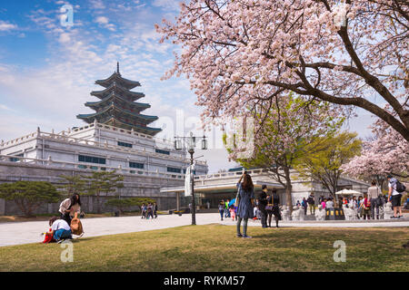 Séoul - 10 avril 2016 : Gyeongbokgung Palace au printemps Billet de Corée, le 10 avril 2016 à Séoul, Corée du Sud. Banque D'Images