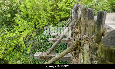 Le pont de bois au milieu de la forêt avec la corde attachée sur le bord et l'étang de l'eau sous Banque D'Images