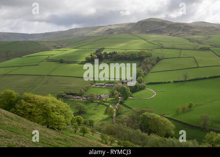 Champs verts sur les pentes de Kinder Scout près de fauche dans le parc national de Peak District, Derbyshire, Angleterre. Banque D'Images