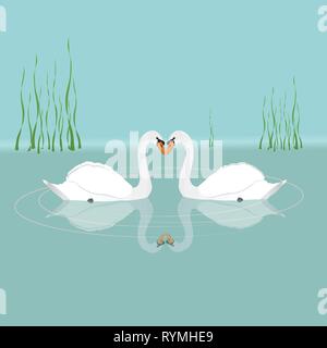 Deux cygnes blancs dans l'eau Illustration de Vecteur