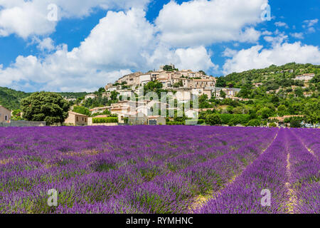 Simiane la Rotonde, France. Village perché en Provence avec les champs de lavande. Banque D'Images