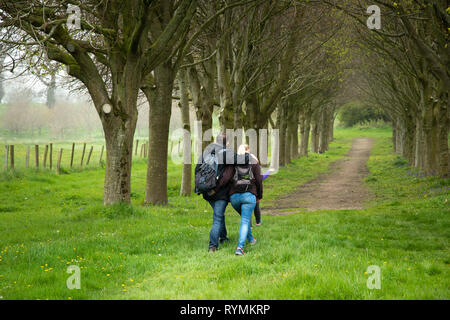 Couple marchant dans Lime Tree Walk au quartier du château à l'intérieur Comté en bas Banque D'Images