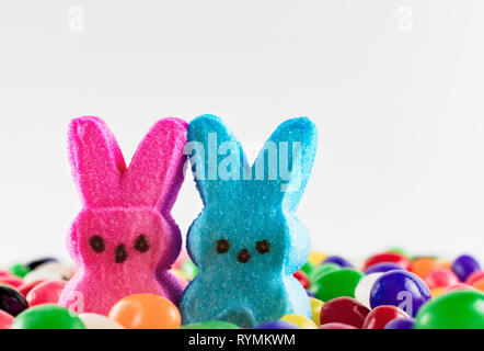 Bonbons de Pâques : deux lapins guimauve close up dans un champ de jelly beans. Close up Vue de côté. Arrière-plan blanc. Copier l'espace. Banque D'Images