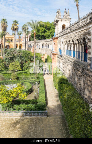 L'Alcazar ou Reales Alcazares et ses jardins en Séville, Espagne Banque D'Images