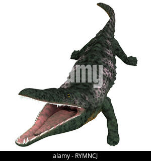 Archegosaurus Archegosaurus - Amphibiens Amphibiens carnivores était un qui vivait en Europe pendant la période permienne. Banque D'Images