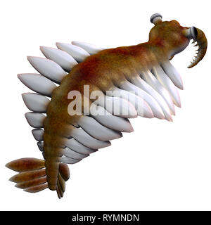 Anomalocaris Anomalocaris Cambrian - était un poissons carnivores marins qui vivaient dans les mers du Cambrien. Banque D'Images