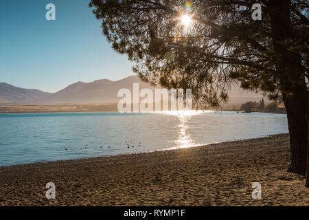 Fin d'après-midi, Lake Tekapo, Nouvelle-Zélande Banque D'Images