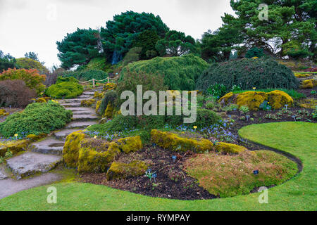 Le jardin de rocaille dans le Royal Botanic Garden Edinburgh, Ecosse, Royaume-Uni Banque D'Images