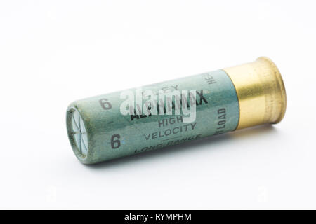 Un vieux papier cased Eley Alphamax high velocity 16-alésage, ou la jauge, cartouche de fusil avec une fermeture serti chargé avec 6 Pas de grenaille de plomb. La collecte shot Banque D'Images