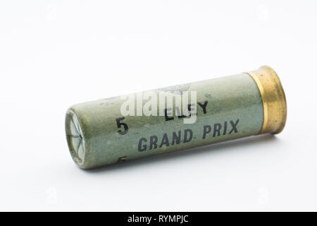 Un ancien Grand Prix 16 Eley-alésage, ou la jauge, le papier placé dans un cartouche de fusil avec une fermeture serti chargé avec 5 Pas de grenaille de plomb. La collecte de cartouche d'fusil Banque D'Images