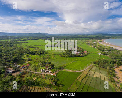 Vista panoramique de vastes champs de riz dans la vallée d'Ciletuh. Banque D'Images