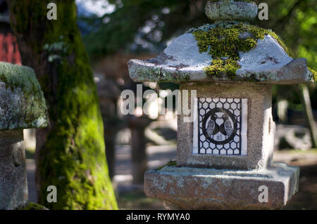 Gros plan d'une belle dans la lanterne de pierre Tamukeyama temple Hachimangu à Nara, Japon sur une journée ensoleillée Banque D'Images