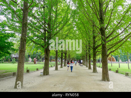 Nami, de Corée du Sud - Feb 6, 2015. Les gens qui marchent à l'arbre parc sur l'Île de Nami. Namiseom est une des destinations touristiques les plus attrayantes dans S. Kor Banque D'Images