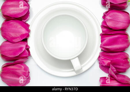 Tulipe rose poser sur un fond blanc blanc près de la tasse de café, qui se trouve sur une soucoupe blanc gros plan. Banque D'Images