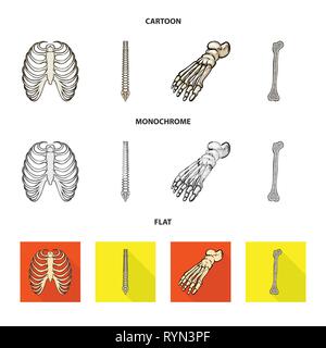 Nervure, colonne vertébrale,foot,fémur,,cage,chiropratique,cheville,osseuses xray,sain,base,jambe,body,moelle,la podologie,Genou,ostéoporose,avant-pied,tibia,sternum,posture,panneaux,péroné,sternum,les pieds plats,linstallation,mouvement,calcium,joints,,chirurgie,dommage,médecine,clinique,biologie,médical,os,squelette humain,anatomie organes,,set,icône,,illustration,collection,isolé,design,graphisme,élément vecteur vecteurs,signer , Illustration de Vecteur