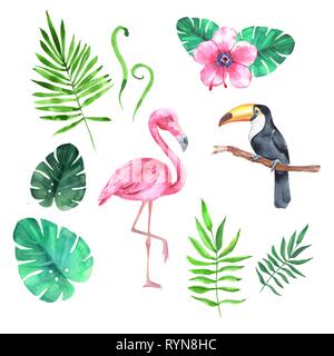 Set aquarelle de plantes tropicales et d'oiseaux Banque D'Images