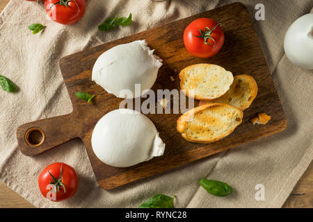 Blanc italien fait maison Fromage Burrata avec tomate et basilic Banque D'Images