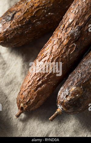 Matières organiques marron racine de Yucca Prêt à l'emploi Banque D'Images