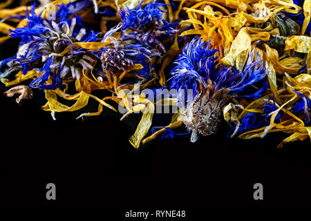 Fleurs séchées bleu et jaune sur fond noir Banque D'Images