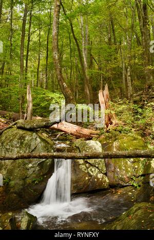 Flux de précipitation et de cascades à Black Mountain, près de Montreat College, à l'extérieur de Asheville, en Caroline du Nord, USA. Banque D'Images