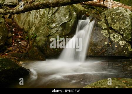Flux de précipitation et de cascades à Black Mountain, près de Montreat College, à l'extérieur de Asheville, en Caroline du Nord, USA. Banque D'Images